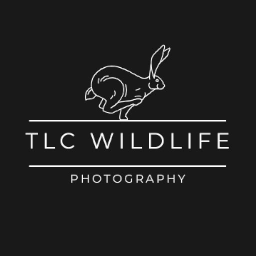 TLC Wildlife Photography